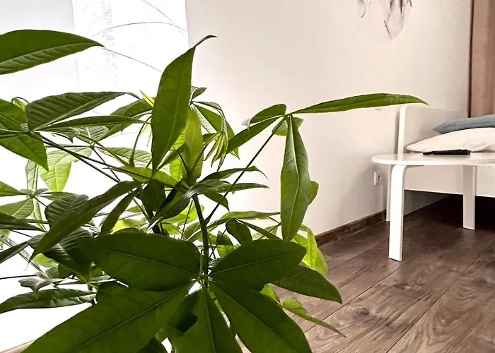 Lägenhet Boleslaviaapartments - Starowka 1 *